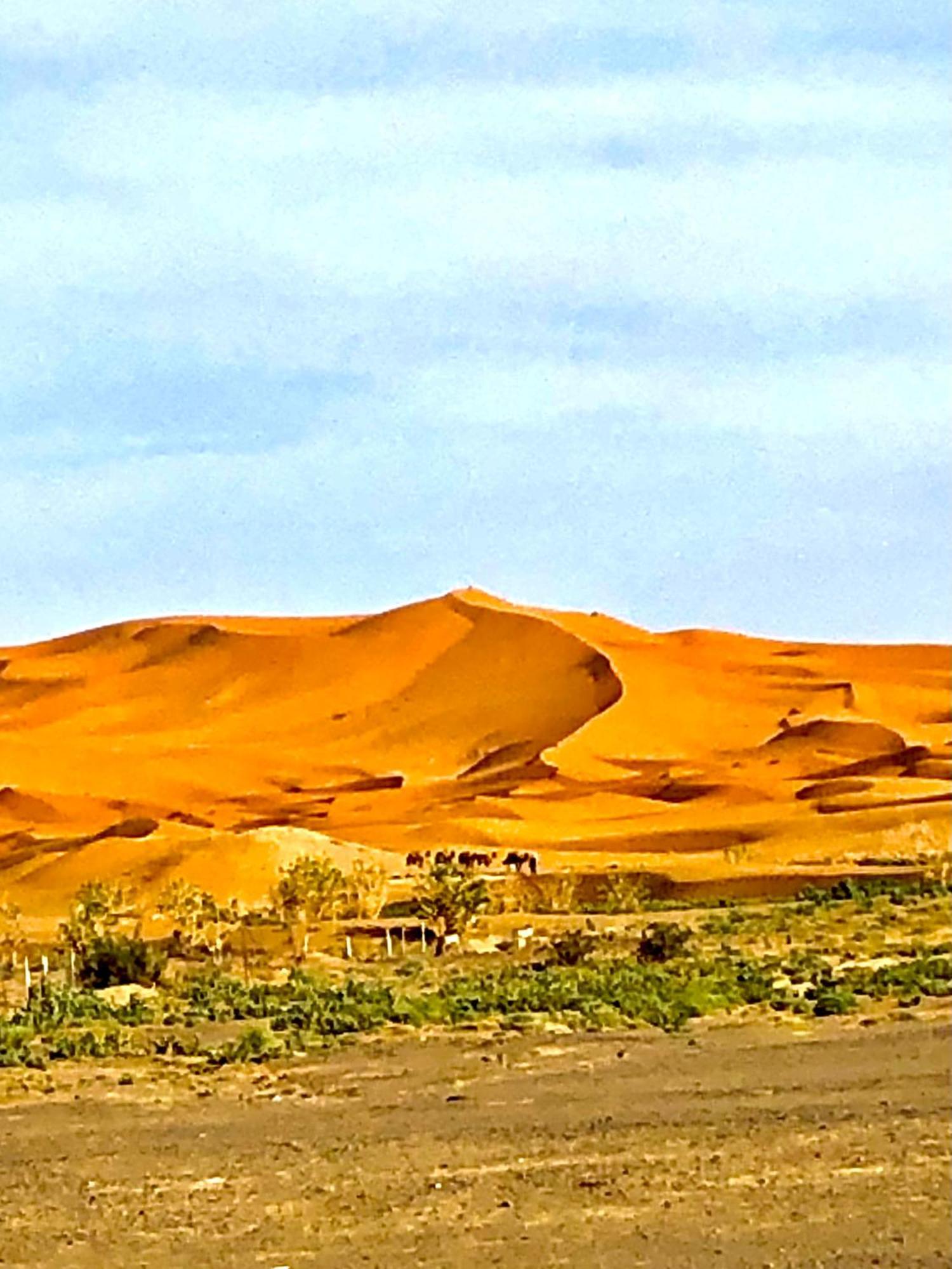 Bivouac La Fibule Des Dunes Merzouga Luaran gambar